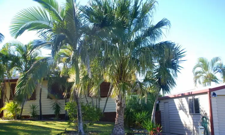 Main view of Homely house listing, 8 Muldoon Court, Eimeo QLD 4740