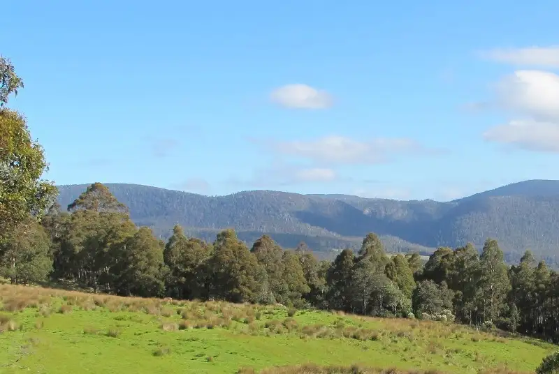 Main view of Homely land listing, Halls Track Road, Pelverata TAS 7150
