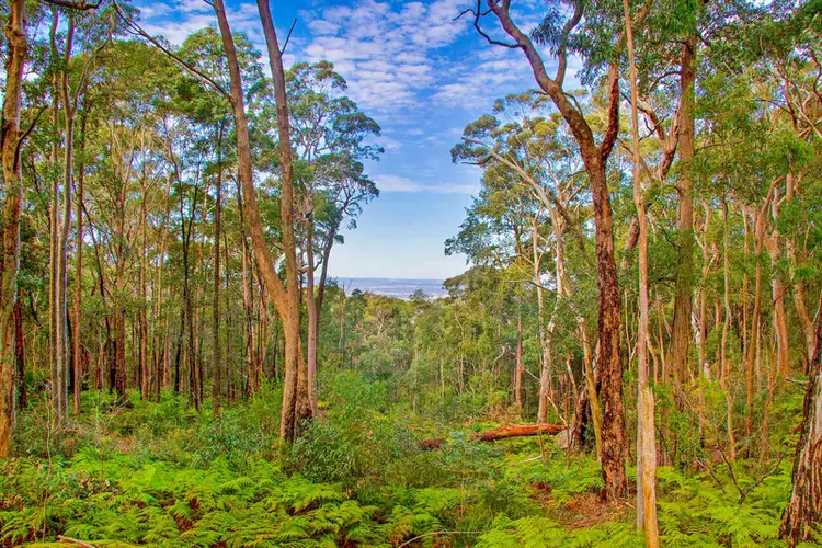 Fifth view of Homely land listing, 217 Burralow Road, Kurrajong Heights NSW 2758