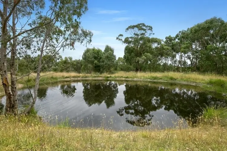 Seventh view of Homely house listing, 155 Bambra Cemetery Road, Deans Marsh VIC 3235