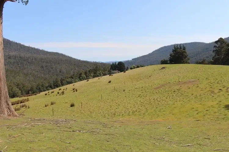 Lot 4, 100 Crosswells Road, Pelverata TAS 7150