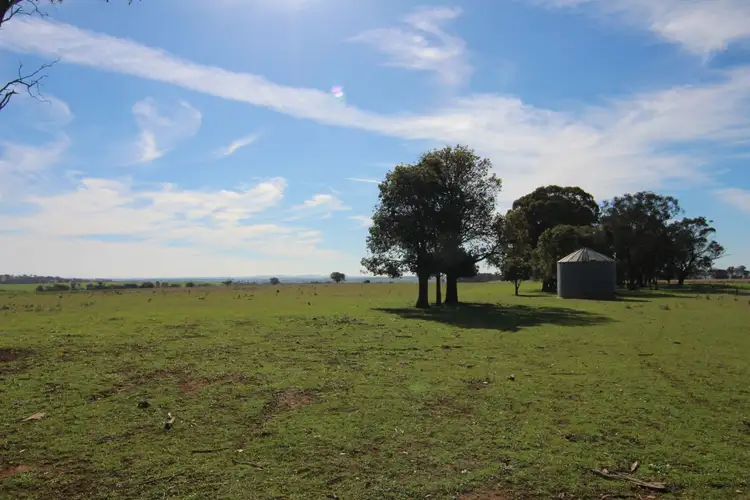 Seventh view of Homely rural property listing, 387 Strathmore Lane, Molong NSW 2866