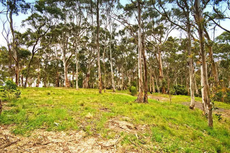 Main view of Homely land listing, 81 Old Coach Road, Skenes Creek VIC 3233