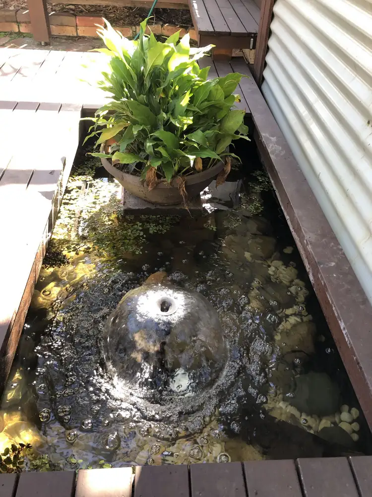 Sixth view of Homely house listing, 98 Villiers Street, Grafton NSW 2460