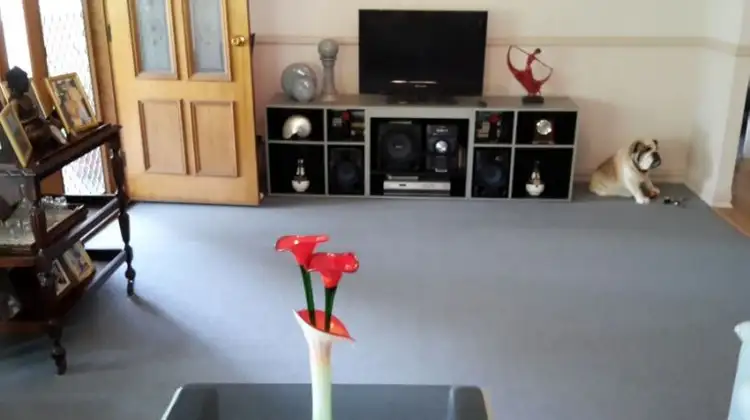 Second view of Homely house listing, 46 Harry Mills Drive, Worongary QLD 4213