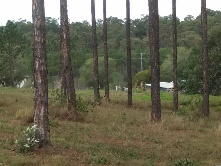 Fourth view of Homely land listing, Lot 217 Stevenson Rd, Glenwood QLD 4570