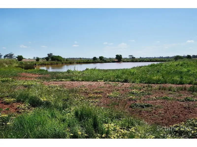 Main view of Homely rural property listing, . Gwen-Ivan, Narromine NSW 2821
