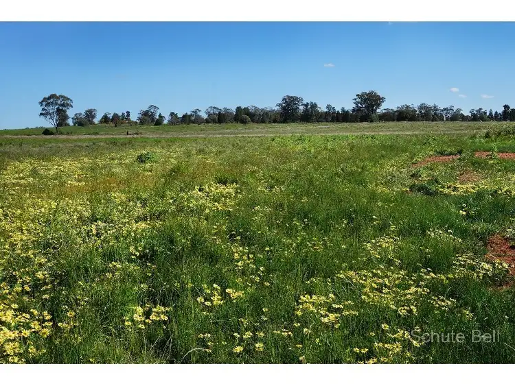Second view of Homely rural property listing, . Gwen-Ivan, Narromine NSW 2821