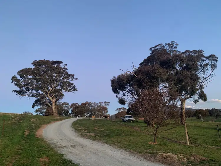 Third view of Homely rural property listing, 37 Mates Drive, Royalla NSW 2620