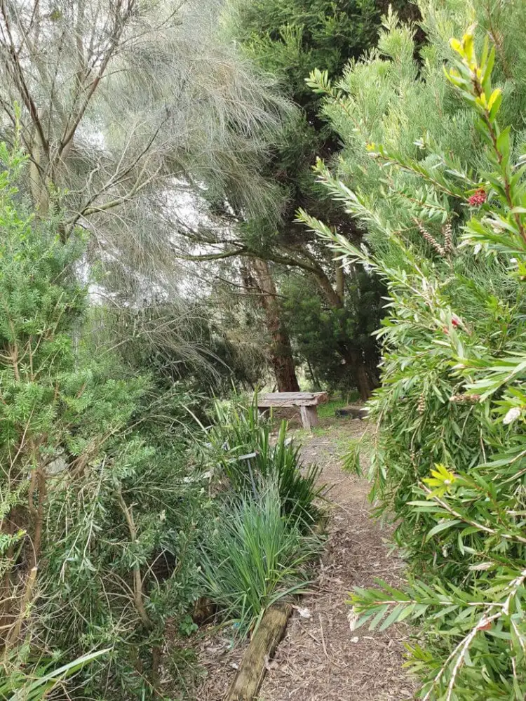 Fifth view of Homely rural property listing, 1231 Melrose Road, Princetown VIC 3269