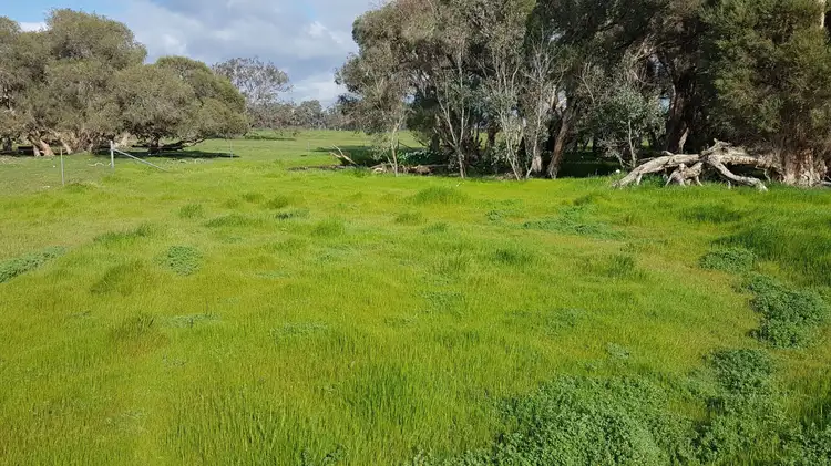 Main view of Homely rural property listing, Lot 12 Wire Rd, Muckenburra WA 6503