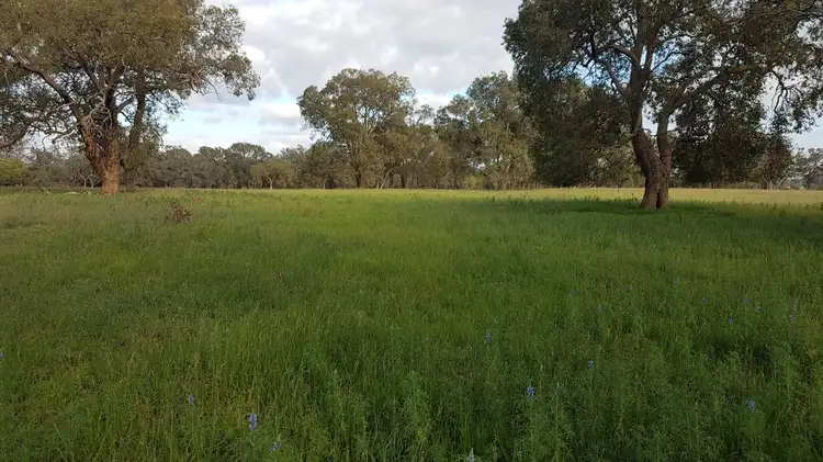 Second view of Homely rural property listing, Lot 12 Wire Rd, Muckenburra WA 6503