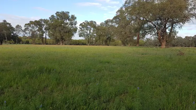 Third view of Homely rural property listing, Lot 12 Wire Rd, Muckenburra WA 6503
