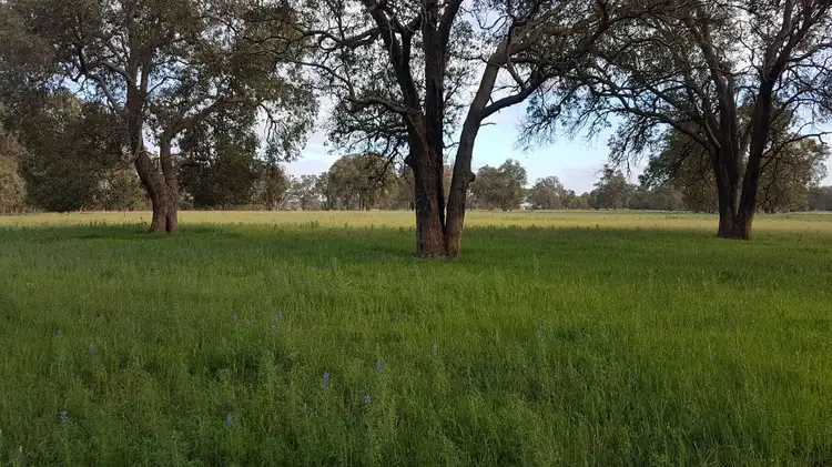Fourth view of Homely rural property listing, Lot 12 Wire Rd, Muckenburra WA 6503