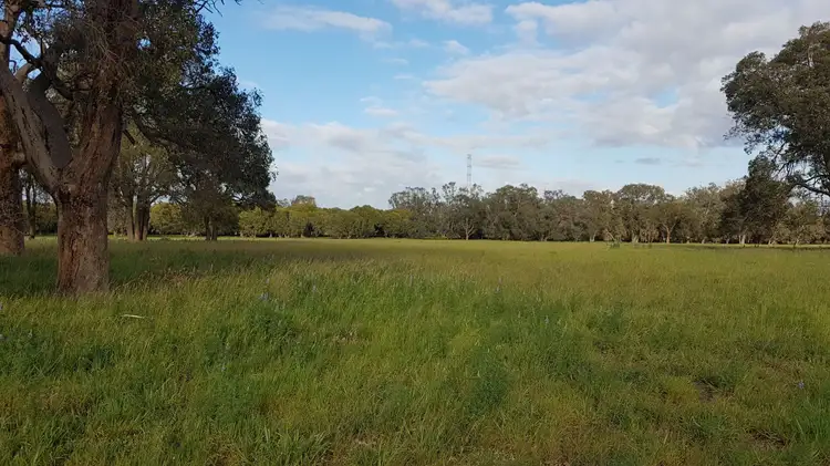 Fifth view of Homely rural property listing, Lot 12 Wire Rd, Muckenburra WA 6503