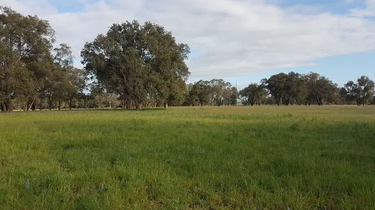 Sixth view of Homely rural property listing, Lot 12 Wire Rd, Muckenburra WA 6503