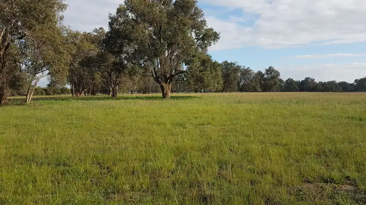 Seventh view of Homely rural property listing, Lot 12 Wire Rd, Muckenburra WA 6503
