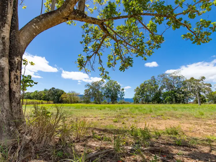 Sixth view of Homely land listing, Lot 31 Dexter Road, Gordonvale QLD 4865