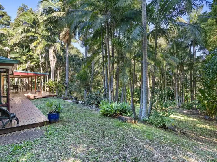 Second view of Homely house listing, 115 Brushbox Drive, Mullumbimby Creek NSW 2482