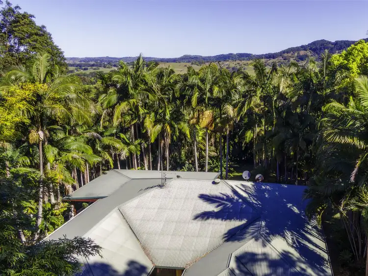 Fourth view of Homely house listing, 115 Brushbox Drive, Mullumbimby Creek NSW 2482