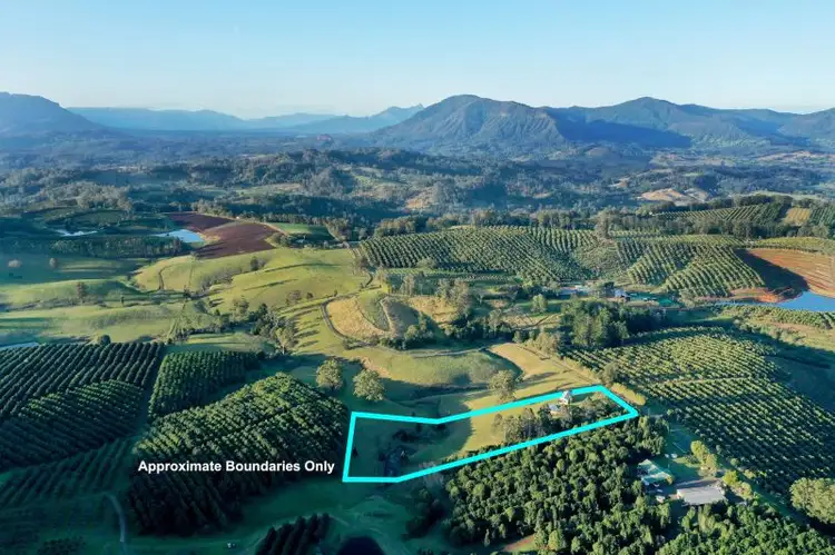 585 Mountain Top Road, Nimbin NSW 2480