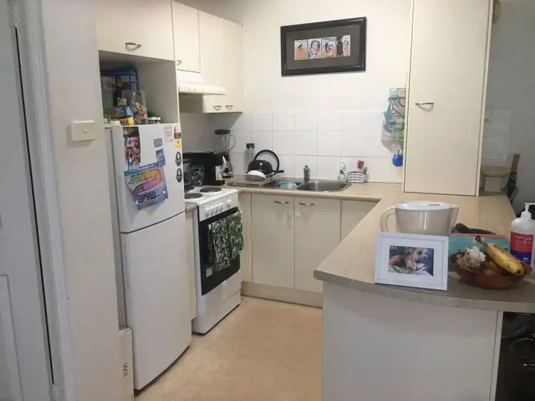 Main view of Homely block of units listing, 14/1259 Pittwater Road, Narrabeen NSW 2101