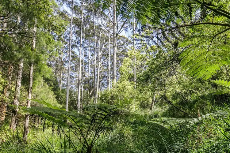 Fifth view of Homely rural property listing, 56 Pittam Way, Denmark WA 6333