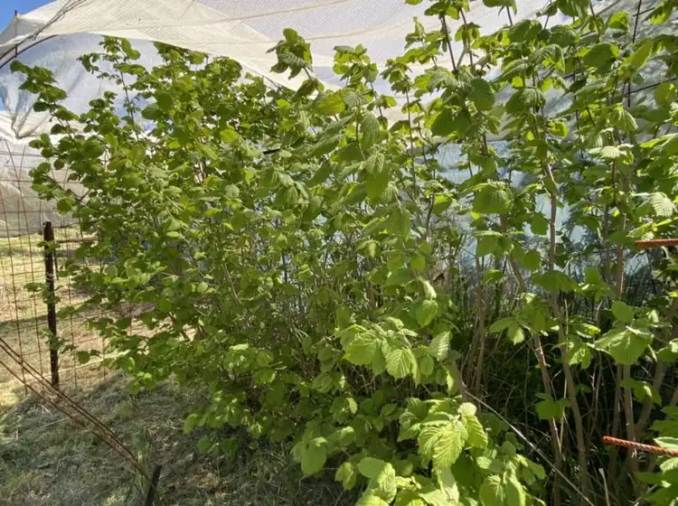 Sixth view of Homely land listing, 5 Pottery Road, Campbells Creek VIC 3451