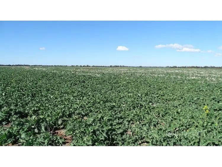 Second view of Homely rural property listing, . Karibu, Narromine NSW 2821