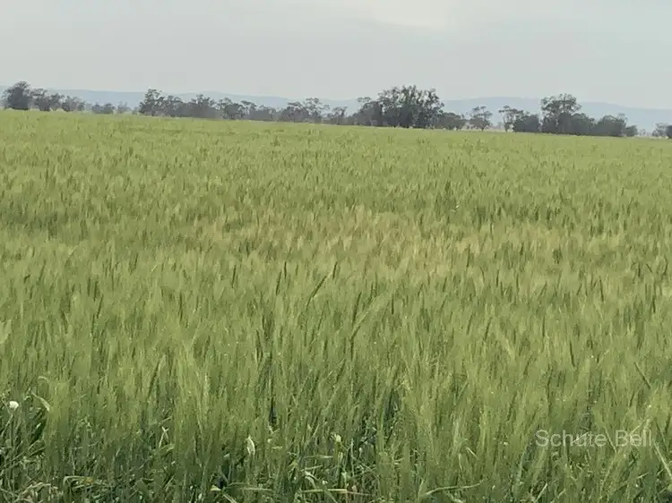 Third view of Homely rural property listing, . Roseholm, Peak Hill NSW 2869