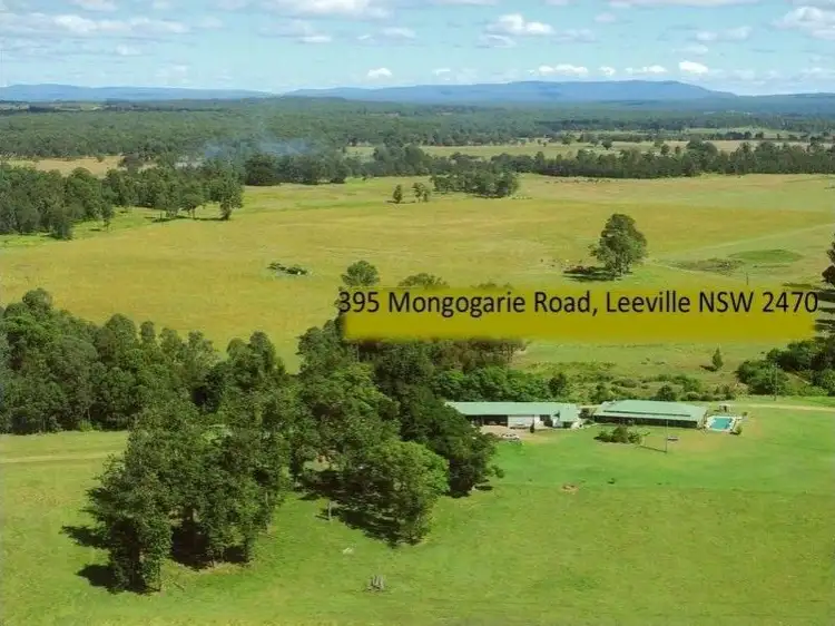 Second view of Homely rural property listing, 395 Mongogarie Road, Leeville NSW 2470