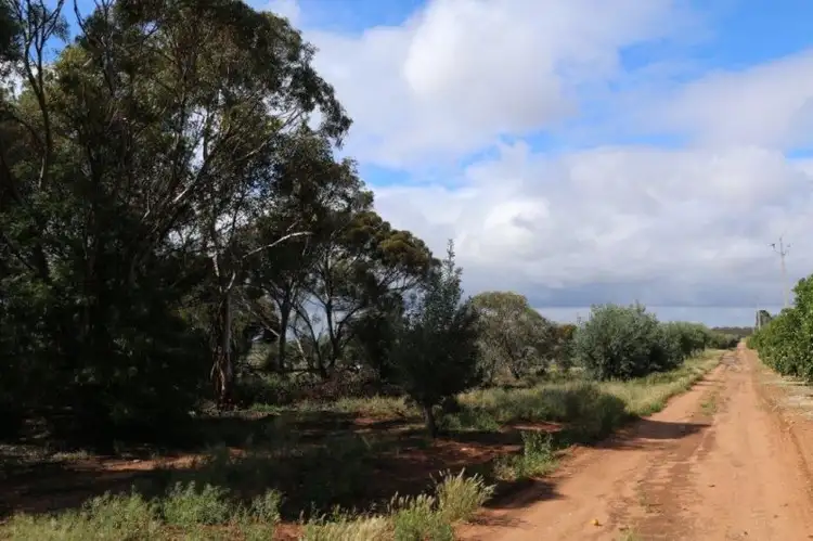 Second view of Homely rural property listing, allot 2 Benlow Road, Waikerie SA 5330