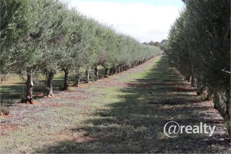 Third view of Homely rural property listing, allot 2 Benlow Road, Waikerie SA 5330