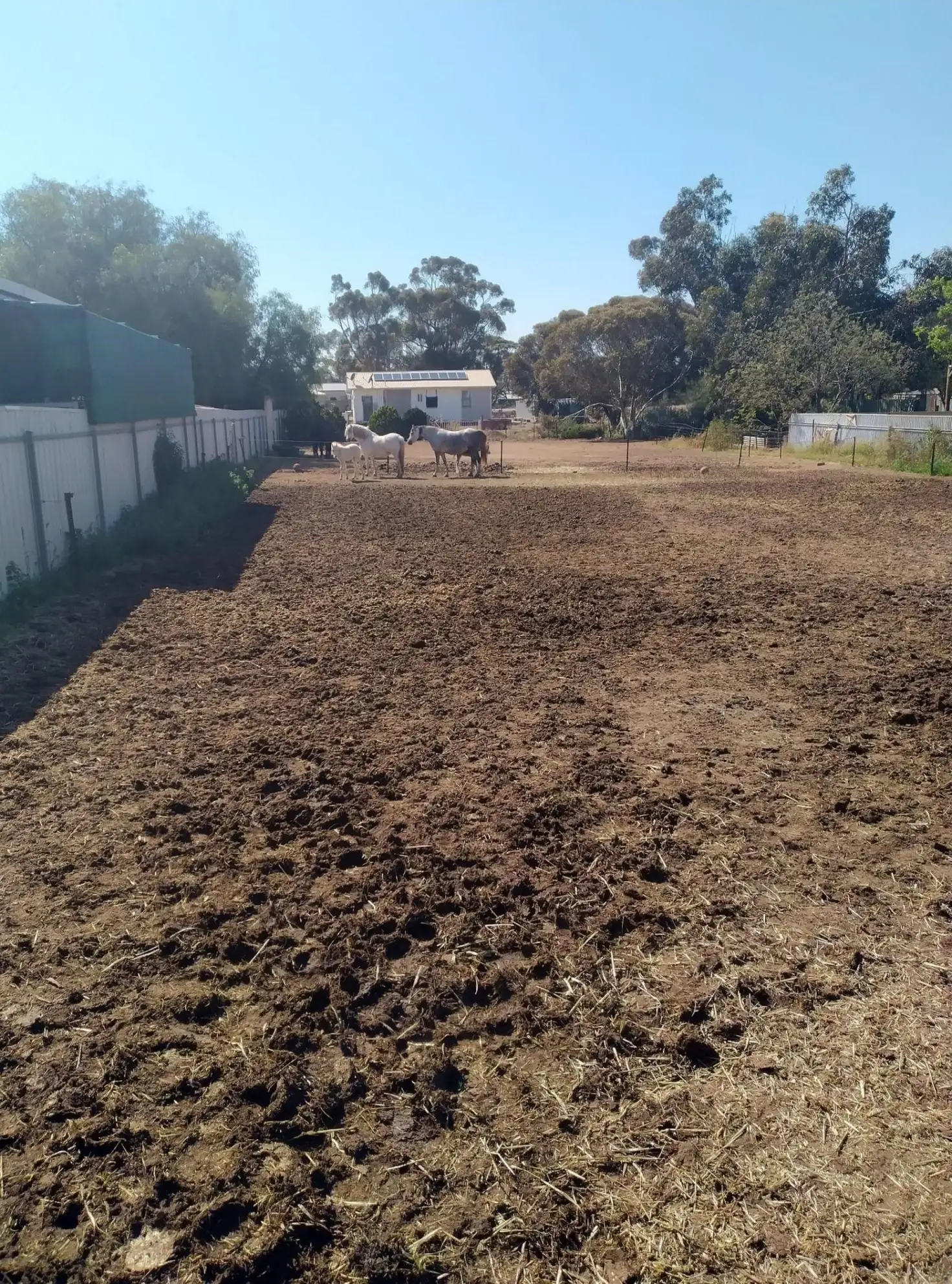 Main view of Homely land listing, 30 Melvin Terrace, Pinery SA 5460