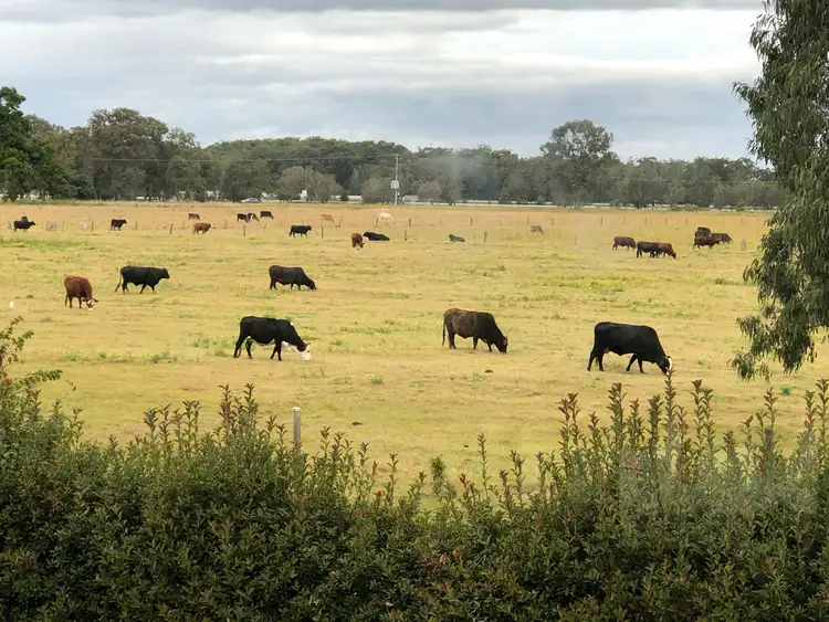 Second view of Homely house listing, 54 Rileys Hill Road, Broadwater NSW 2472