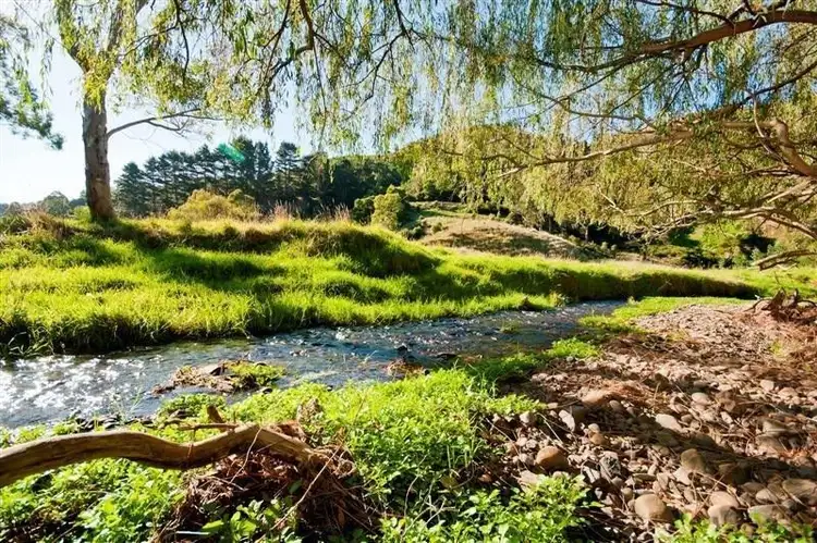 Fifth view of Homely rural property listing, 95 Wild Dog Road, Apollo Bay VIC 3233