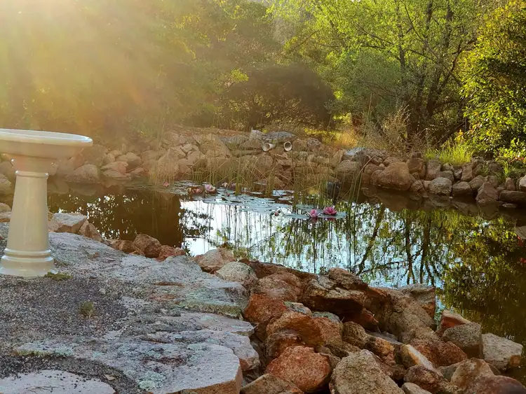 Sixth view of Homely rural property listing, 10 Nicol Street, Stanthorpe QLD 4380