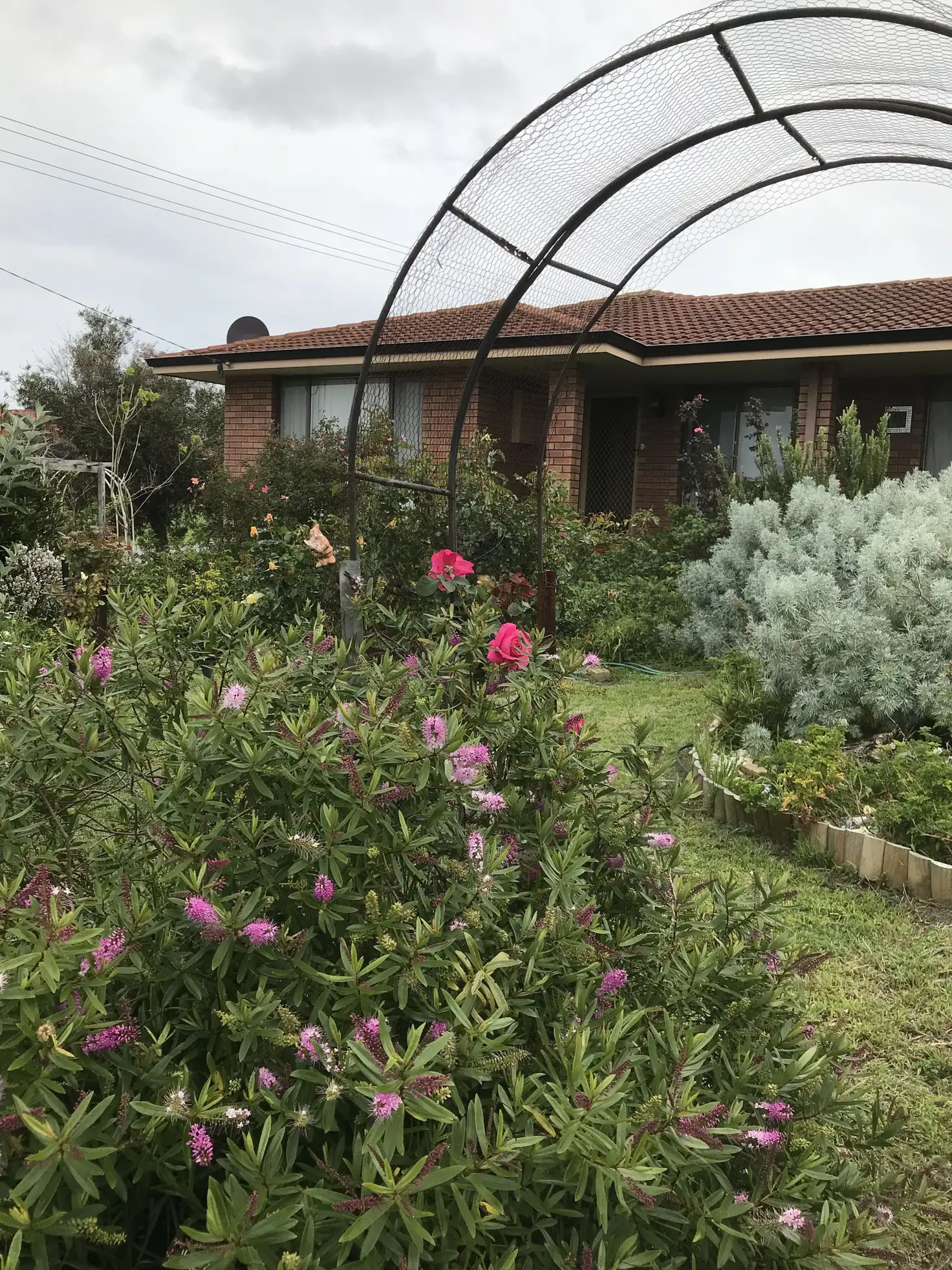 Main view of Homely house listing, 26 Shepherd Street, Lower King WA 6330