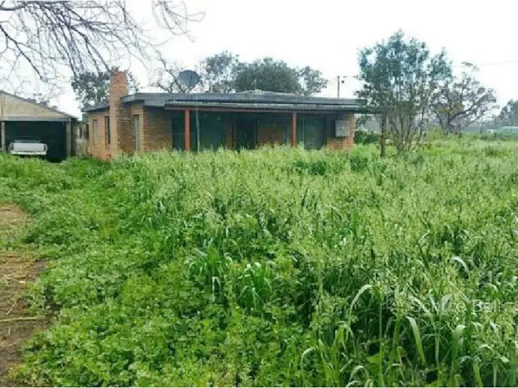 378 Dappo Road, Narromine NSW 2821