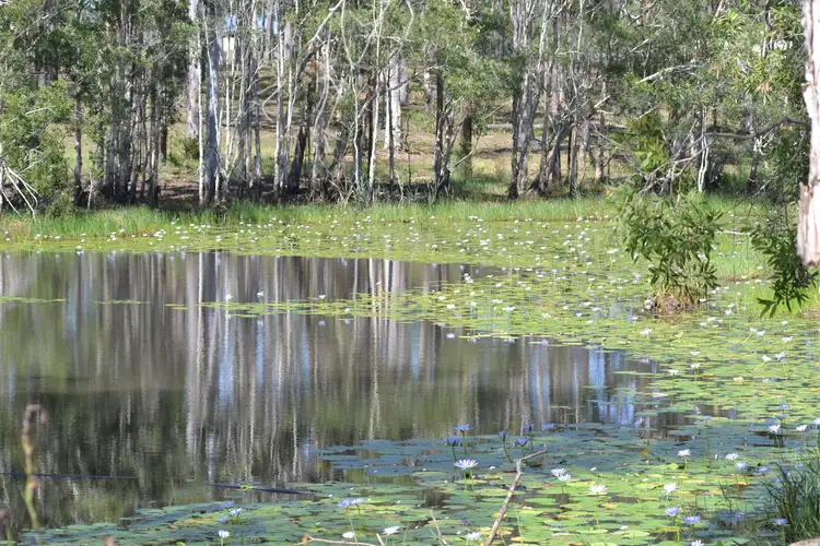 Third view of Homely rural property listing, 45 McConnell Rd, Wamuran QLD 4512