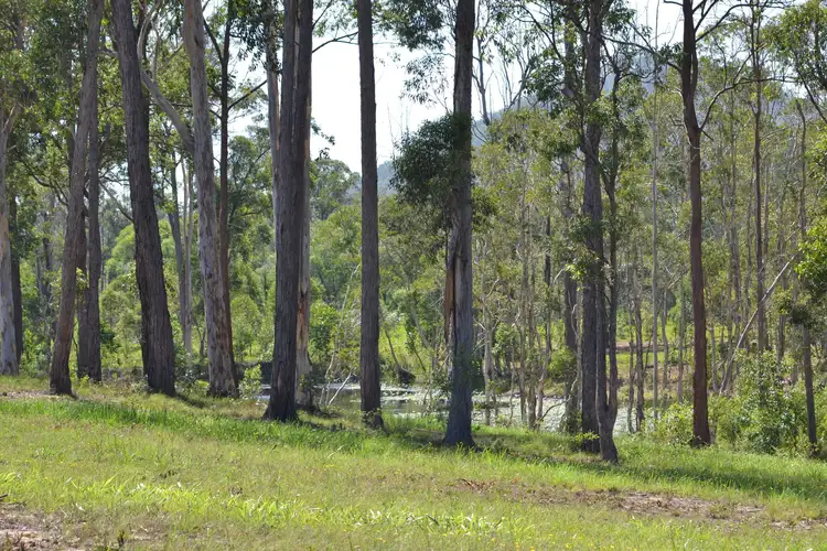 Sixth view of Homely rural property listing, 45 McConnell Rd, Wamuran QLD 4512