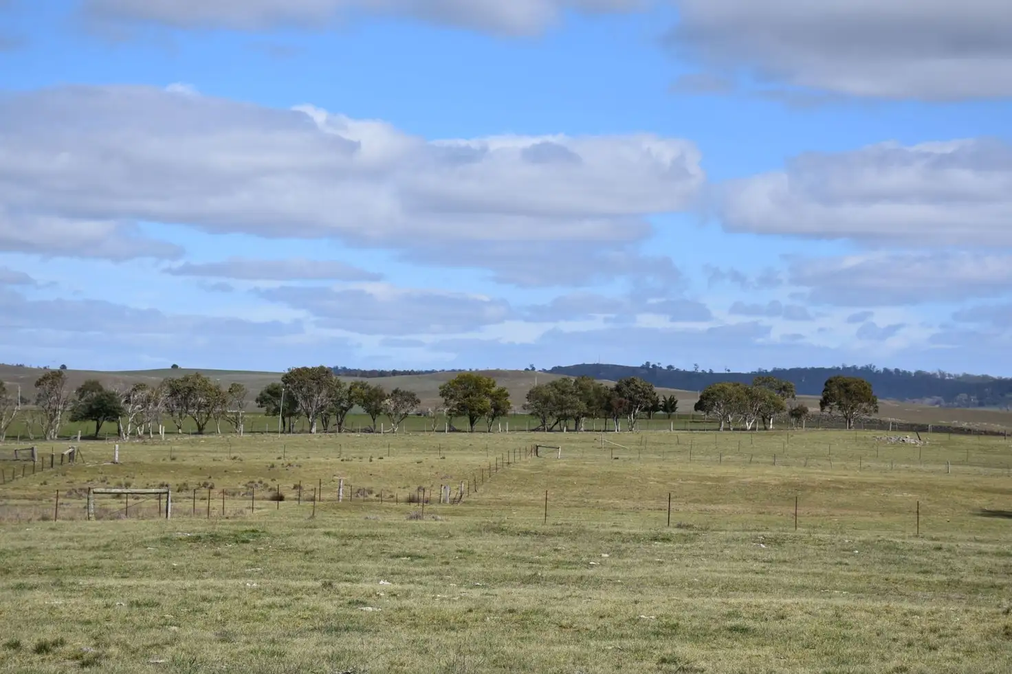 Main view of Homely land listing, 4-5 Evans Street, Bibbenluke NSW 2632