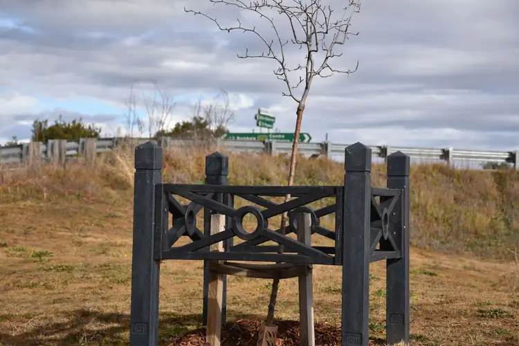 Fifth view of Homely land listing, 4-5 Evans Street, Bibbenluke NSW 2632
