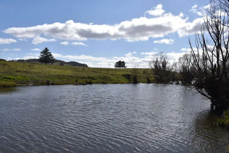 Sixth view of Homely land listing, 4-5 Evans Street, Bibbenluke NSW 2632