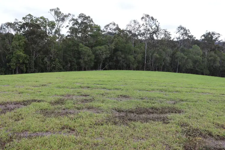 Third view of Homely rural property listing, 608 Wilsons Pocket Road, Wilsons Pocket QLD 4570