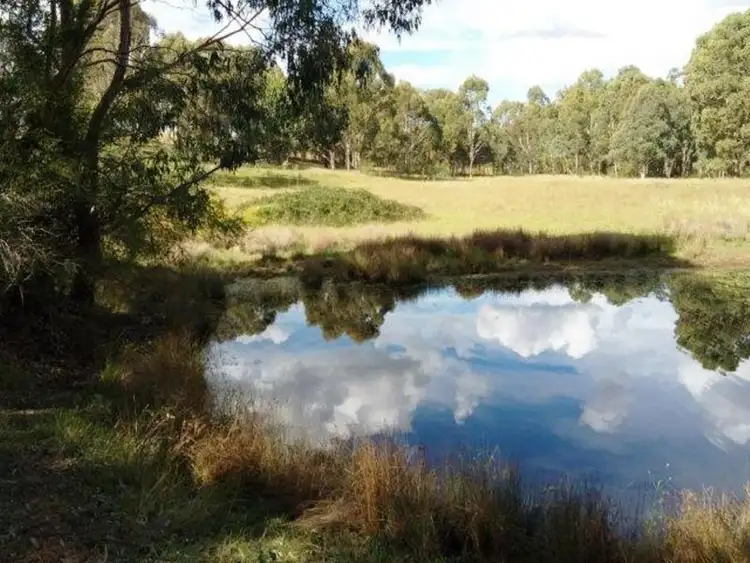 Second view of Homely land listing, LOT 2, 589 Killarney Barlows Gate Road, Killarney QLD 4373