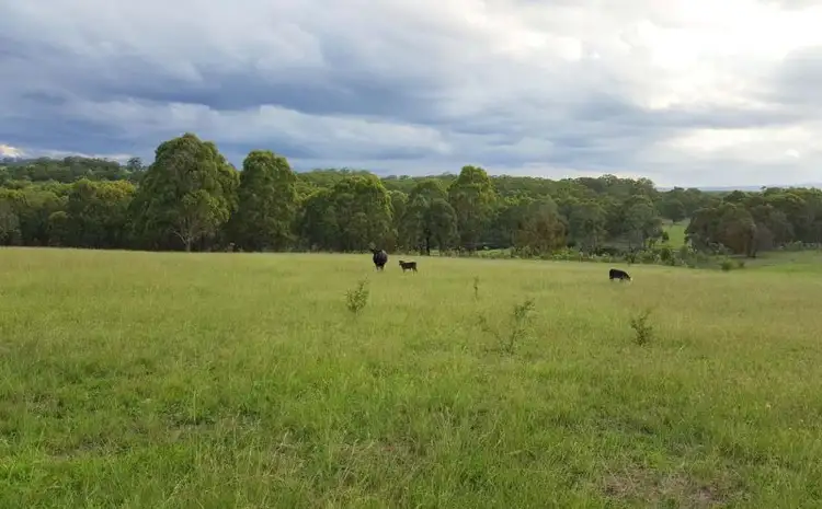 Third view of Homely land listing, LOT 2, 589 Killarney Barlows Gate Road, Killarney QLD 4373