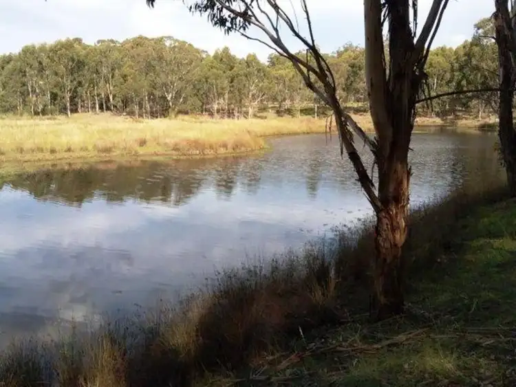 Sixth view of Homely land listing, LOT 2, 589 Killarney Barlows Gate Road, Killarney QLD 4373