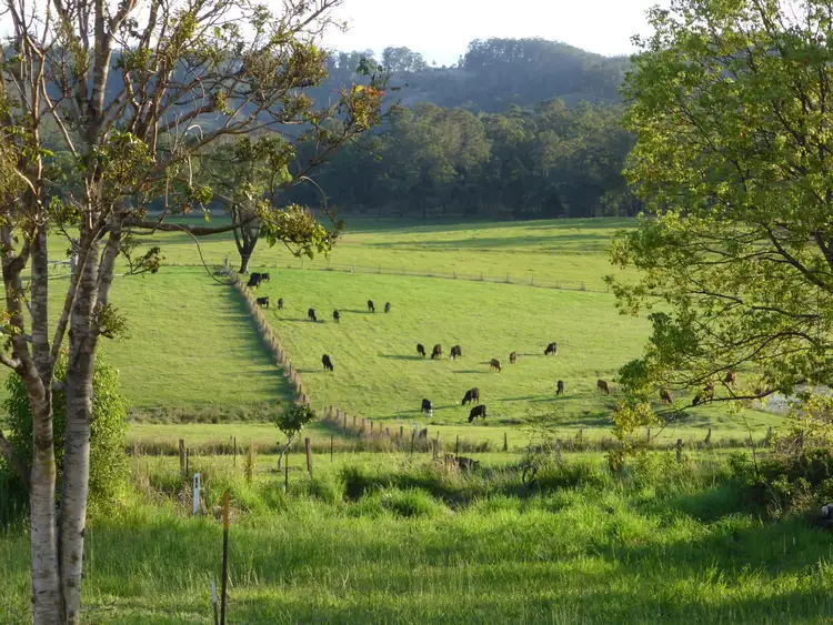 Main view of Homely land listing, 4 Herborn Drive, Bowraville NSW 2449