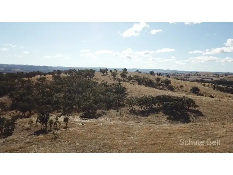Third view of Homely rural property listing, Lot 2 Barelli, Stanthorpe QLD 4380